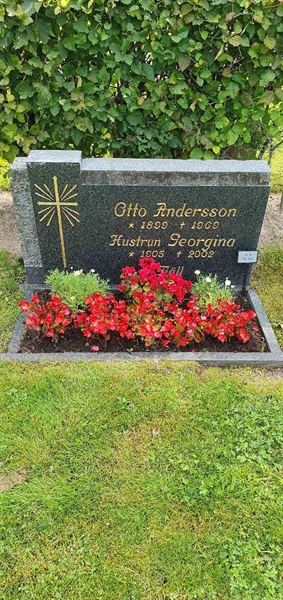 Grave number: Jä 09   132-133