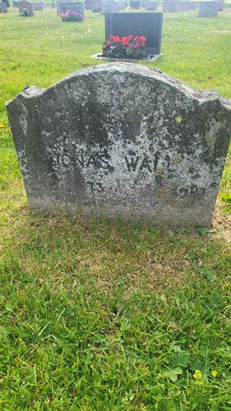 Grave number: D G 3   243a