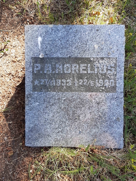 Grave number: VI Ö:A   196