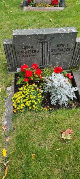 Grave number: M S   54
