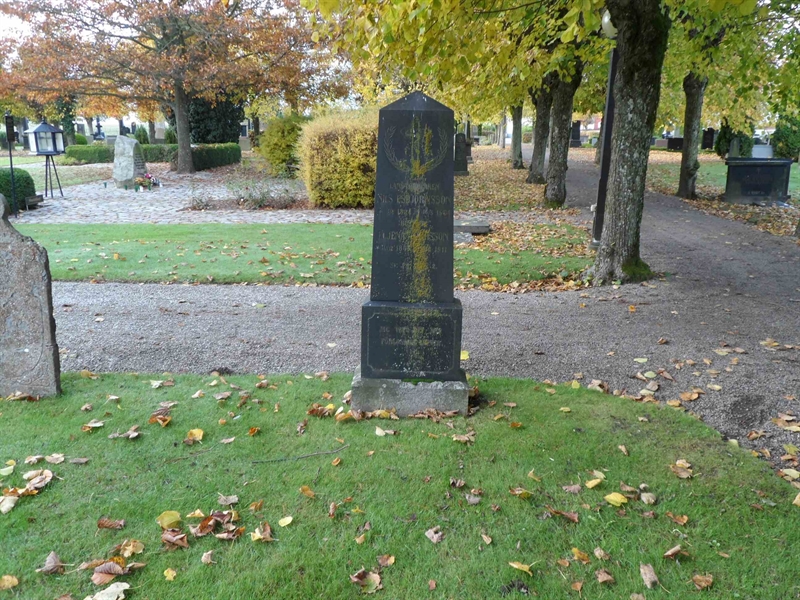 Grave number: 2 01   100