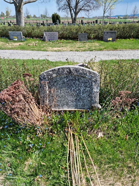 Grave number: D G 3    74