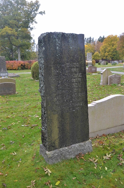 Grave number: Sm 1    85