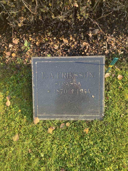 Hautatunnus: 6 04    155