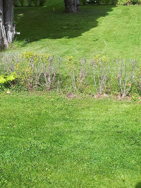 Gravnummer: NK F G    84