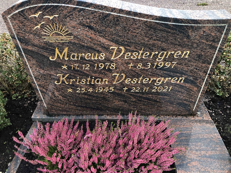 Grave number: GK D    31