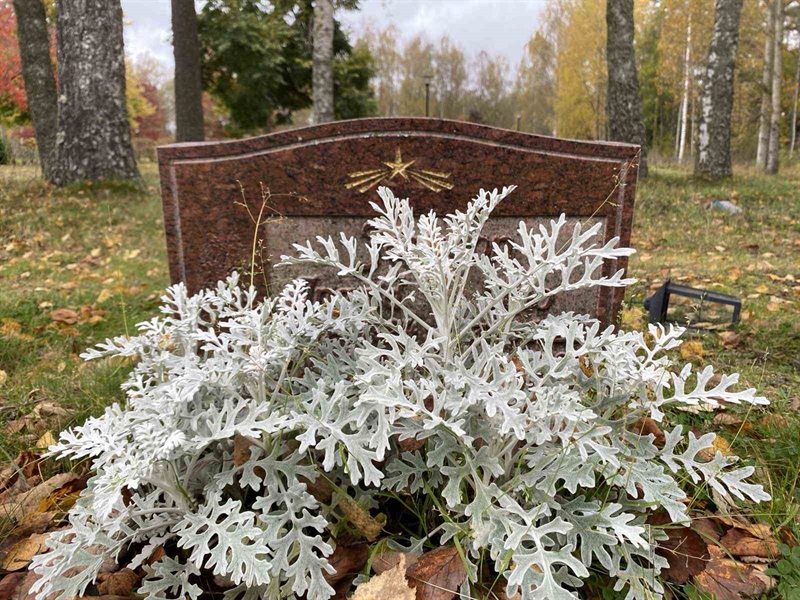 Hautatunnus: 1 23    U10