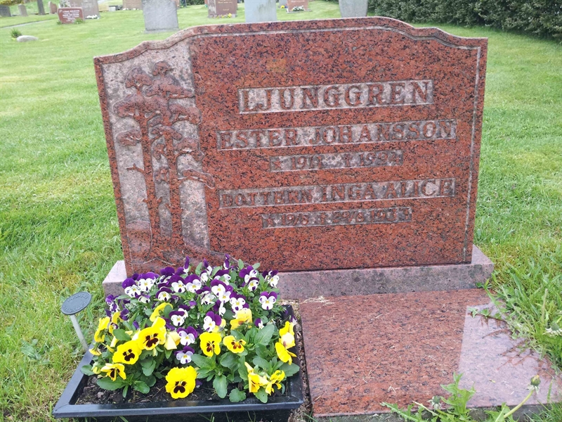 Grave number: Fk 31    83