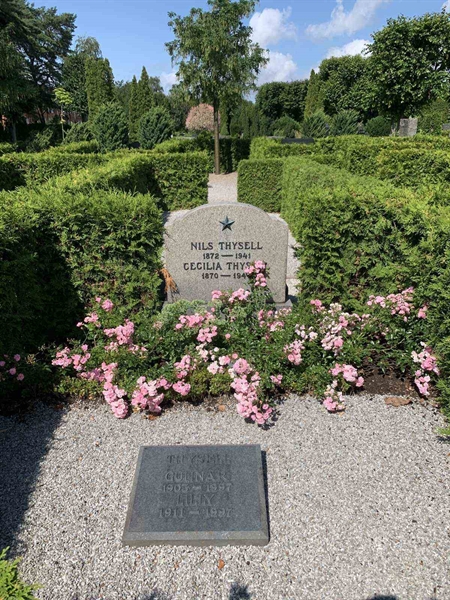 Grave number: NK VII    79