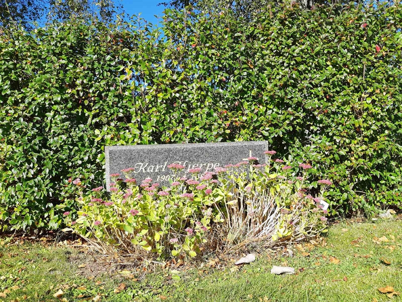 Hautatunnus: Fr 7    77-78