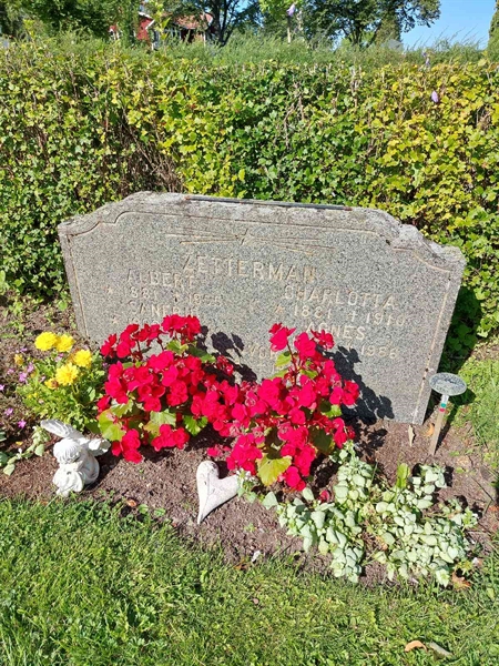 Gravnummer: 1 D   044