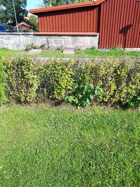 Gravnummer: NK F G   298