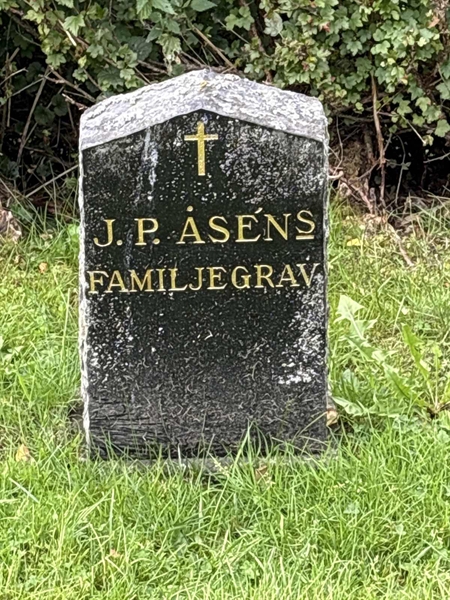 Grave number: IN 17   419