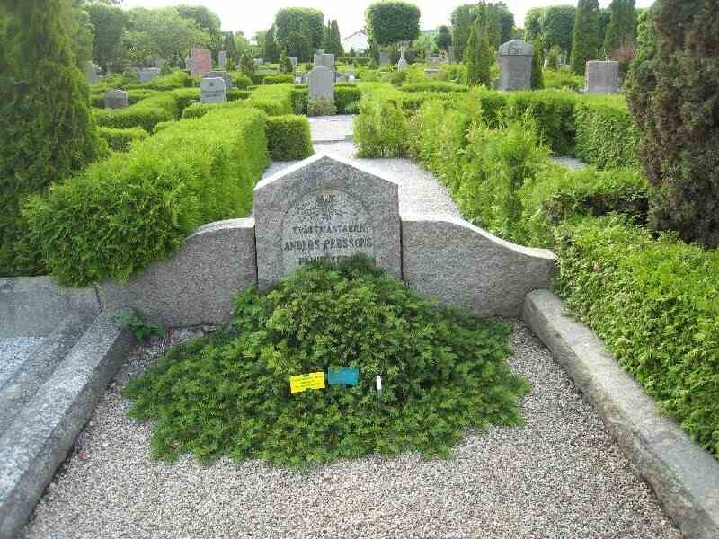 Grave number: NK IV    36