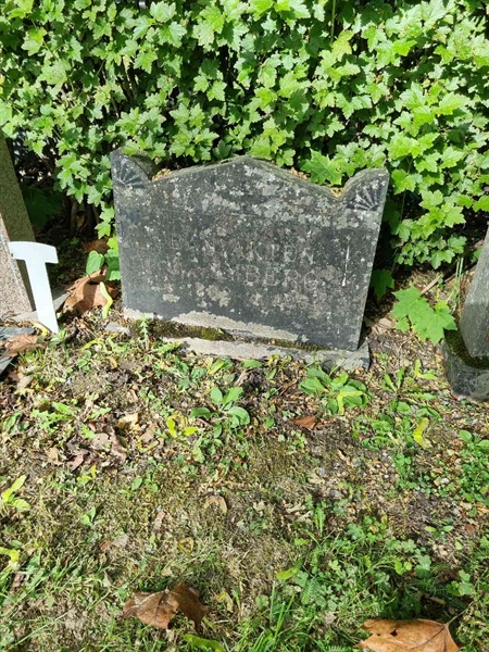 Grave number: 1 19   52