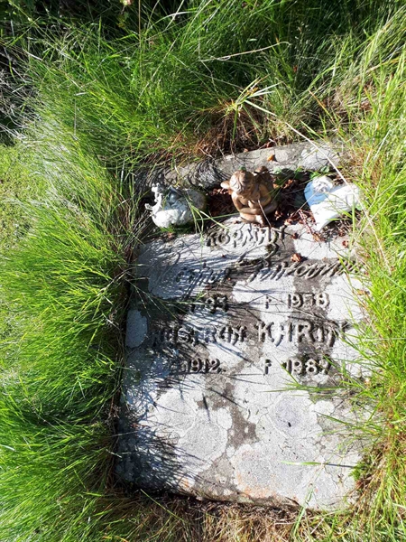 Hautatunnus: NK F G   287