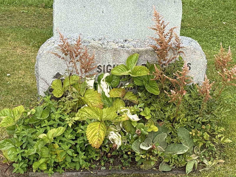 Grave number: IN 32   195-196