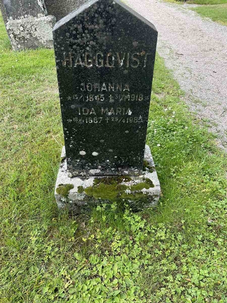 Gravnummer: N 4 3   317