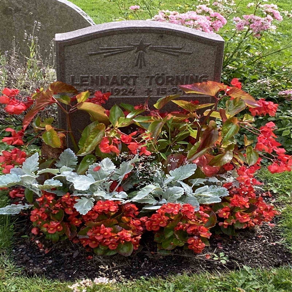 Hautatunnus: 1 T   270