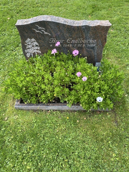 Hautatunnus: 2 C    85-86