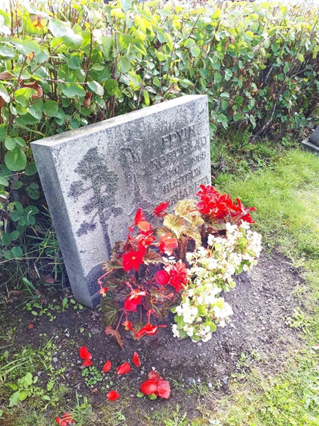 Gravnummer: NK F B   217A