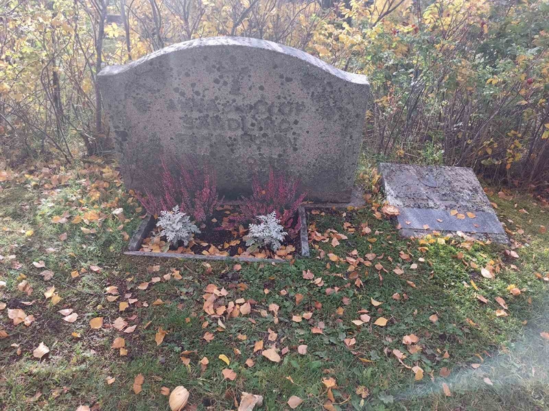 Grave number: NY G 65