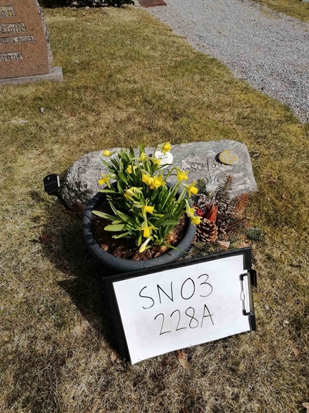 Grave number: SN 03   228
