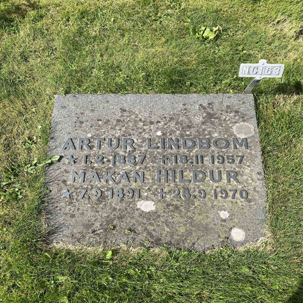 Hautatunnus: 1 NC   163