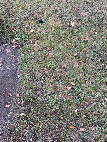 Grave number: NK XV:u    72