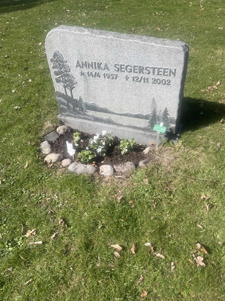 Grave number: 1 3 F1 300