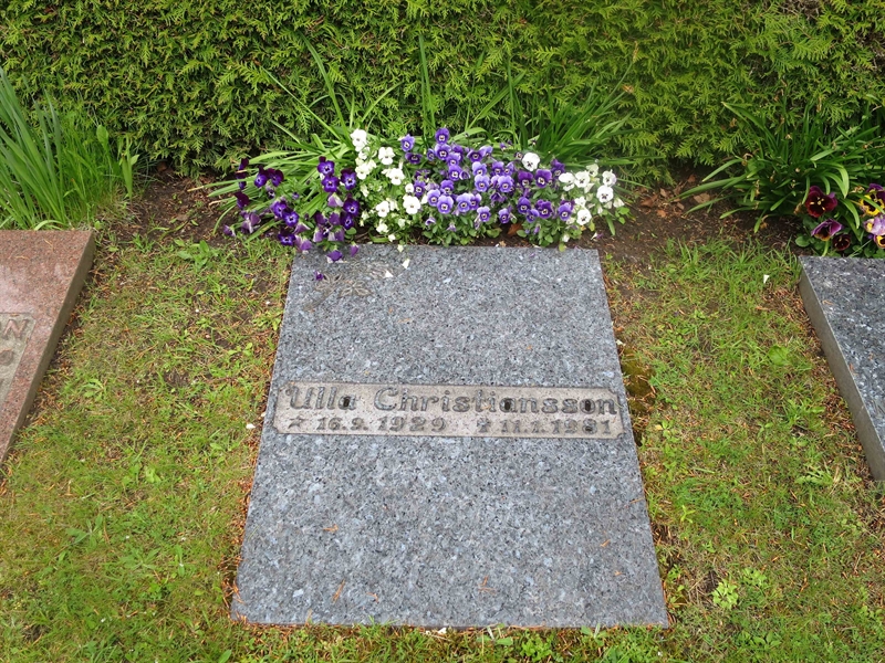 Grave number: HÖB N.UR   309