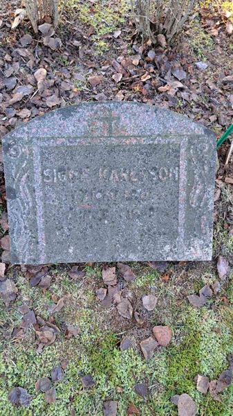 Grave number: 6 05     24