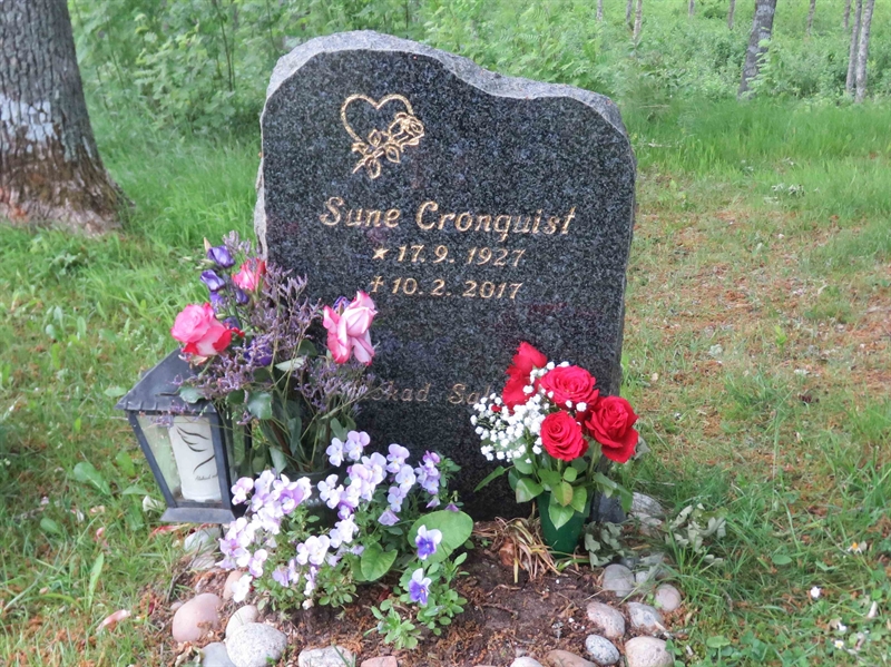Grave number: 01 Y   503