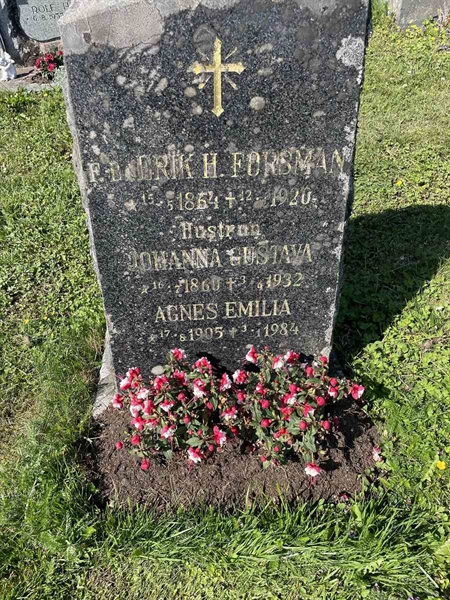 Grave number: N 5 2   166