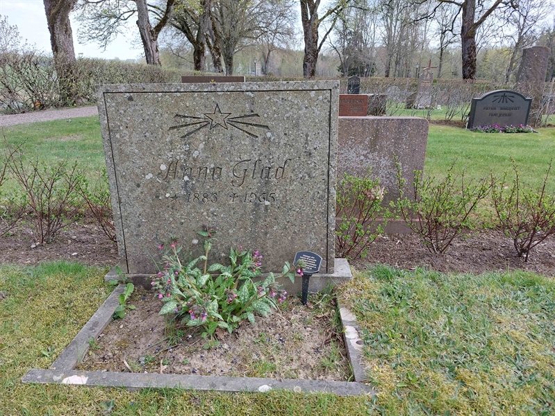 Gravnummer: HÖ 6 51
