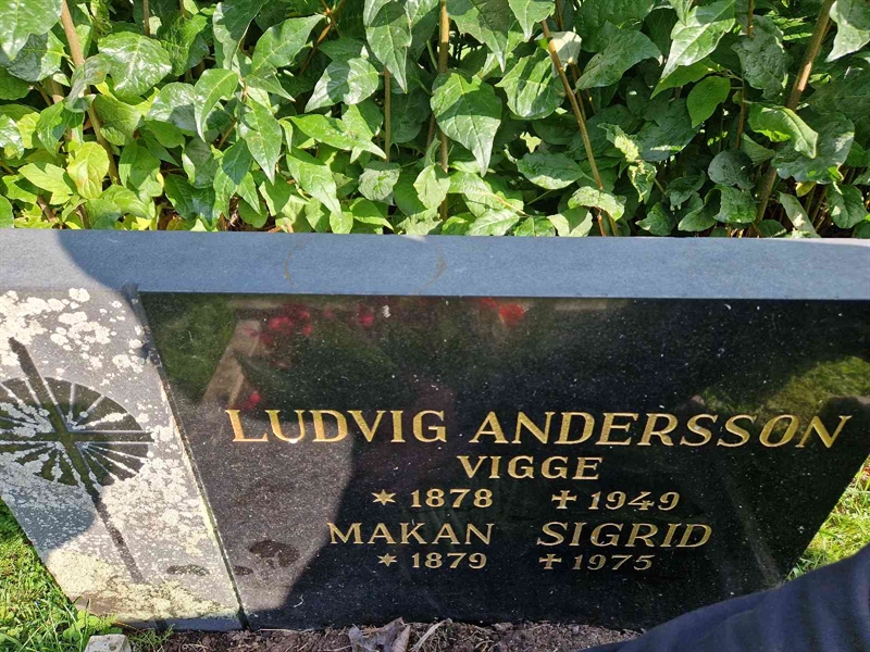Grave number: 1 18     3