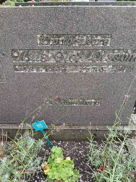 Hautatunnus: ÖK A 202, 203