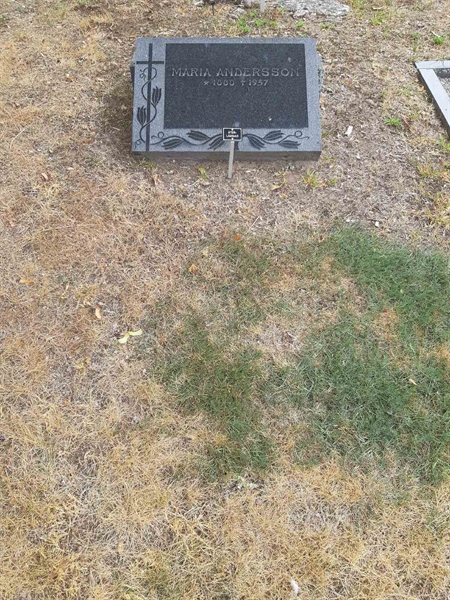 Grave number: VO D     1