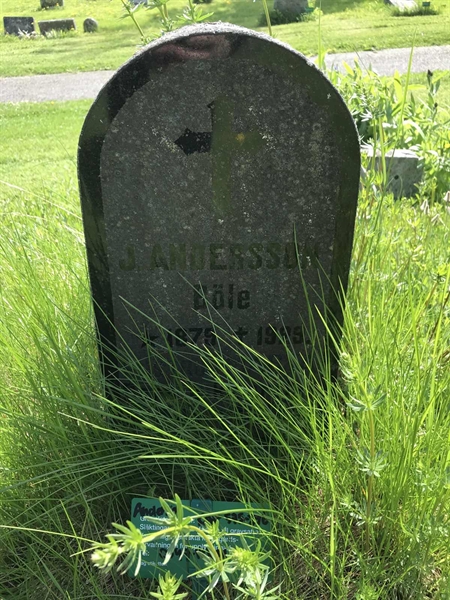 Grave number: KA F   575, 576