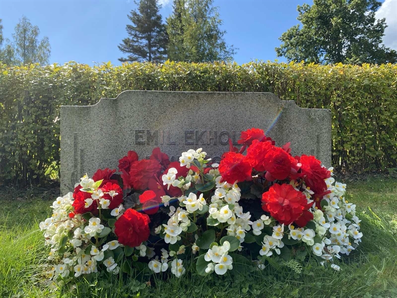 Grave number: 1 17 85, 86