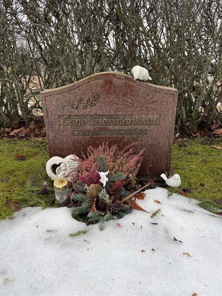 Gravnummer: SJ N     1