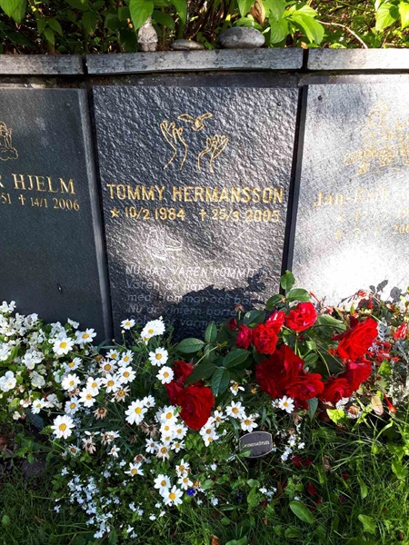 Hautatunnus: GK U 4   386