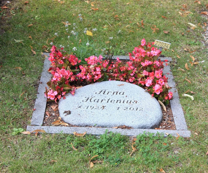 Grave number: Ö 22i    41