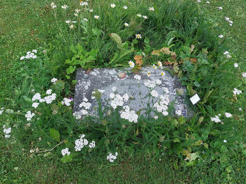 Grave number: FÖ 2   102