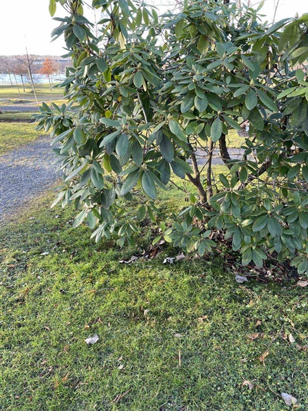 Gravnummer: GK A 3   624