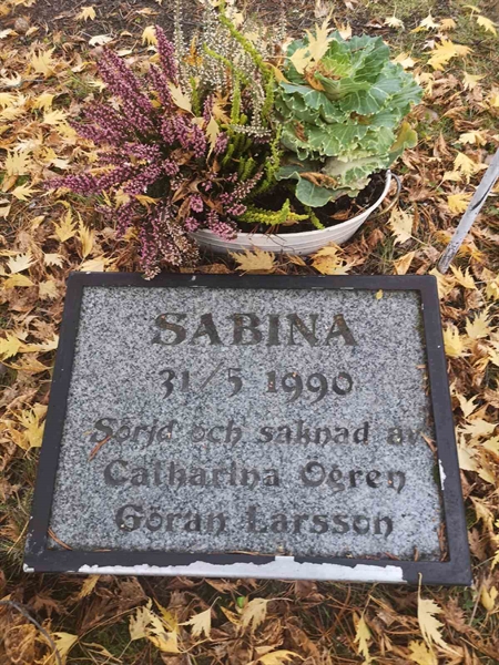 Hautatunnus: VLM U    46