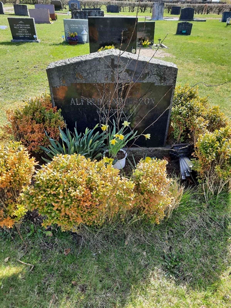 Grave number: VN B   218