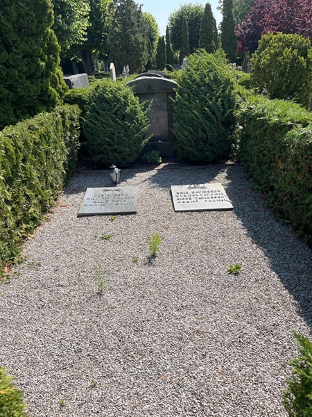 Grave number: NK VI    71