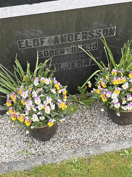Grave number: SKF A   219, 220