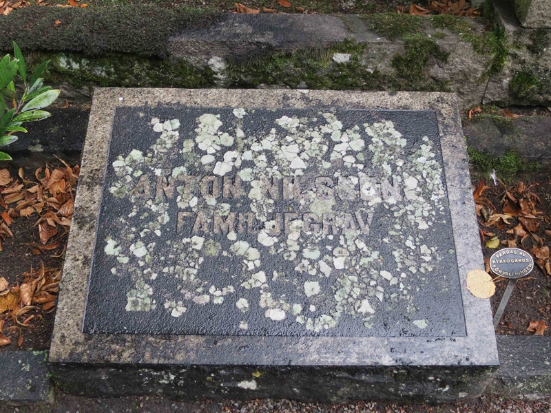 Grave number: HÖB 16    46